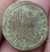 token351f.jpg